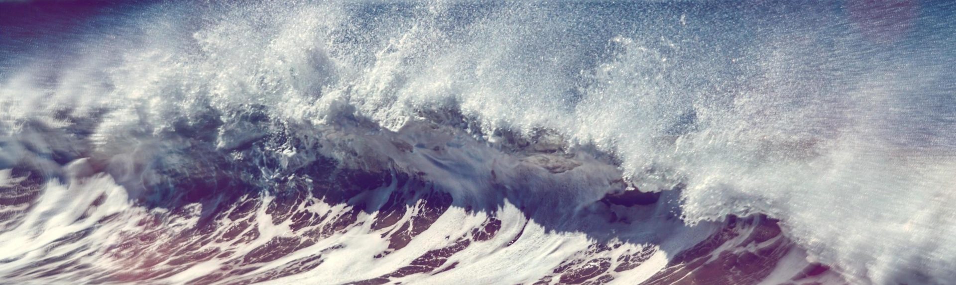 SEAWOOTECH